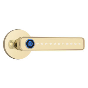 FALEISTON | Fingerprint and Password Smart Door Handle Lock