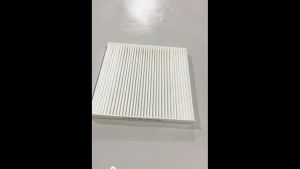 Filter Kabin AC DFSK Glory 580 1.5-1.8cc 8100108-SA01BP - 0420