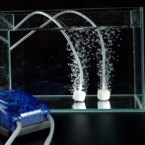 Bonetar ปั๊มลม ตู้ปลา อ๊อกซิเจน ปรับระดับได้ 2 ระดับ รุ่น BT6000/BT6500/BT6800 ปั๊มลมตู้ปลาแบบ 1ทาง / 2ทาง Plug-in Air Pumps บ่อปลาประหยัดไฟ เสียงเงียบ ใช้ต่อกับสายางและหัวทรายเพื่อสายอ็อกซิเจนให้ปลา