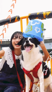 Snob Ark x SPUTNIK® Explore Series Pet Leash