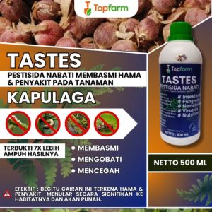 Obat Hama Buah Kapulaga / Obat Semprot Buah Kapulaga / Obat Penyubur Tanaman Kapulaga / Obat Kapulaga / Obat Tanaman Kapulaga / Obat Hama Buah Kapulaga