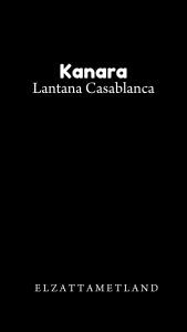 Elzatta KANARA LANTANA CASABLANCA Elzatta hijab segiempat motif elzatta premium free box mudah di bentuk