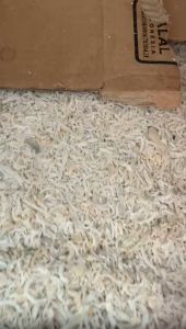 teri toge teri medan teri nasi