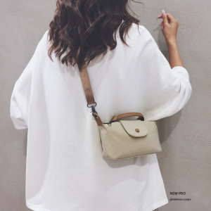 Mini Fashionable Crossbody Dumpling Bag for Women Nylon Cloth Small Size Summer Matching Universal Handbag