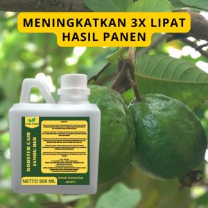 Pupuk Pelebat Jambu Biji: Pilihan Terbaik untuk Meningkatkan Produksi Buah