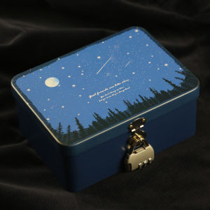 Password Lock Storage Box Iron Material Security Enclosure Packaging Gift Box with Lock for Home Organization And Storage
