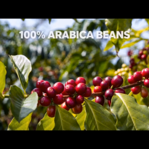Sippin Panda Cold Brew Freeze Dried Instant Coffee 100% Arabica Dark Roast Family Size Bucket 50 Cups