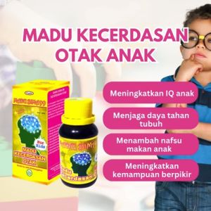 MADU KECERDASAN OTAK BIMA99 MEMBANTU PERKEMBANGAN SEL OTAK ANAK DAN KONSENTRASI KEMAMPUAN BERFIKIR