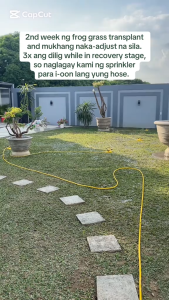 360 degree rotating automatic sprinkler garden watering sprinkler