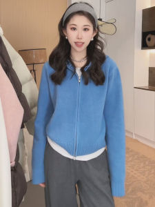 Blue Hooded Knitted Sweater Womens Open Cardigan Autumn 2025 New High-End Double Zipper Korean Style Loose Fit Long Sleeve