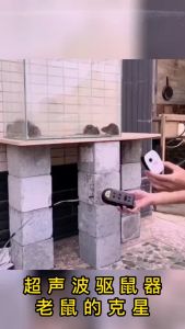 Thiết Bị Đuổi Côn Trùng Pest Reject - Máy Đuổi Côn Trùng Chuột Bằng Sóng Âm Không Độc Hại An Toàn Cho Gia Đình