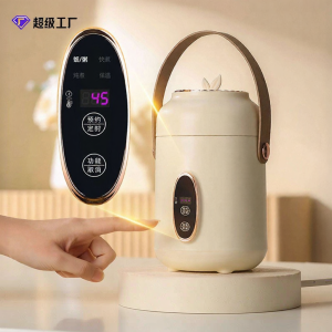 LIWAN | Mini Portable Multi-functional Electric Stew Cup