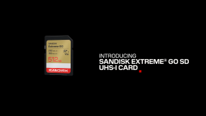 SanDisk Extreme GO UHS-I SD Card 32GB 64GB 128GB 256GB 512GB 1TB DXGN FlashMartSG