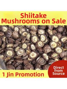 Meaty Thick Fresh Dried Shiitake 500g