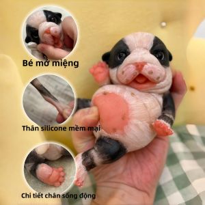 1 Con Chó Nhựa Silicon 6.7 Inch Sống Động Như Thật Sơn 3D Miệng Mở Đồ Chơi Nghệ Thuật Chi Tiết Tinh Xảo Dành Cho Người Thu Thập Và Làm Quà Tặng