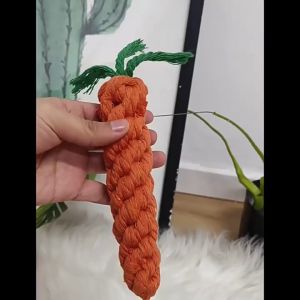 đồ chơi chó mèo - cà rốt thừng cho chó mèo - T3 PETS SHOP