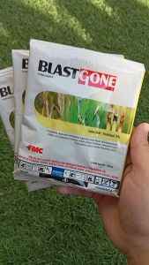 Fungisida BLASTGONE 25 Gram 75WP 25 Gram Pembasmi Jamur Penyakit Blast Tanaman Padi