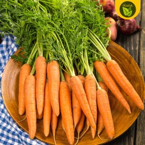 binhi 100 seeds for planting carrot vegetable plant