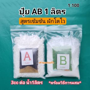 ปุ๋ย AB ขนาด 1 ลิตร (1:100) สำหรับปลูกผักไฮโดรโปนิกส์ สูตรเข้มข้น!!