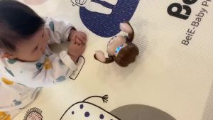 Mainan Edukasi Anak Bayi Monyet Jungkir Balik Musik Suara Lampu ABS - Monyet