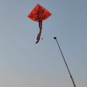 Diều Rồng Ghép