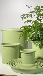 Chậu nhựa trồng cây VIETPOT xanh Mint Trơn trồng kiểng lá hoa hồng để bàn ban công sân vườn.