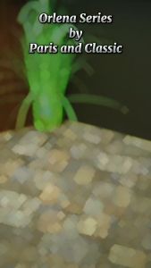 Paris Classic Tas Wanita  Import Fashion Handbag [KB5064]