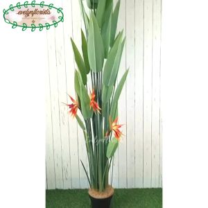 Pohon Hias Daun Pisangan Heliconia Bunga Paradise T210 Latex Pot Dasar Hitam Dekorasi Ruang Tamu