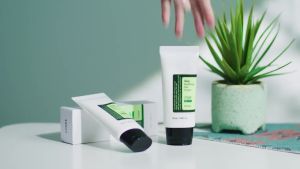 COSRX Aloe Soothing Sun Cream SPF50 PA+++ 50ml Skin Care