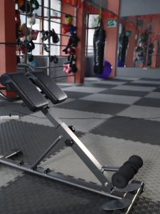 Multi-Functional Bench for Full All-in-One Body Workout – Hyper Back Extension Roman Chair Adjustable Ab Sit up Bench Decline Bench Flat Bench