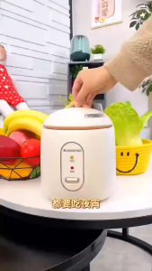 Nkove 1.2L Rice Cooker Mini Non-Stick Pot 200W Super Save Compact Size for Condo/Dorm HL12-A1