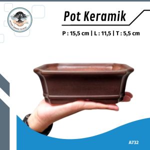 Pot Keramik Bonsai Unik Motif Polos Mame Small