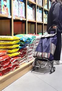 Portable shopping cart with wheels foldable shopping cart bag foldable shopping cart bag