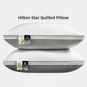Hilton Five Star Hotel down Pillow Goose down Sleep Pillow Core Student Adult Neck Support Sleep Aid Special Rectangular Shape