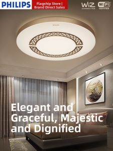 Philips | Smart Wi-Fi Modern LED Ceiling Light