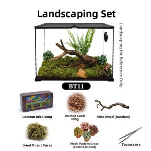 Tailwise | Rainforest Diorama Terrarium Tree Climbing Glass Reptile Keeping Enclosure