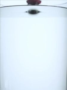 Anti-odor And Insect Proof Drain Filter