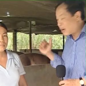 2 chai Chế phẩm Thức ăn dinh dưỡng cao cấp Chăn nuôi Gia súc Gia cầm và Thú Cưng - Khỏe mạnh lớn nhanh Sạch mùi hôi chuồng trại