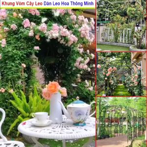 Khung vòm cho hoa hồng leo cây trang trí bằng thép ống phi sơn tĩnh điện Hàng cao cấp độ bền trên 10 năm