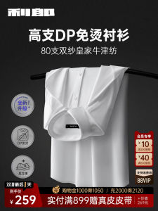 เสื้อเชิ้ตผู้ชาย LILANZ แขนยาว ทรงหลวม ปกโปโล สไตล์ธุรกิจ ลำลอง ฤดูใบไม้ผลิและฤดูใบไม้ร่วง คอปกตั้ง ปกติ