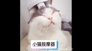 เครื่องนวดแมวแบบออโต้ ชาร์จ USB เสริมสร้างสดและร่มเหลือง วัสดุซิลิโคนนุ่ม สบาย เล็กพกพาสะดวก