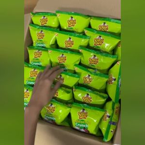 WHOLESALE ChickBoy Snacks Popnik - Onion & Garlic