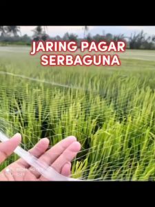 [COD] JARING PADI UKURAN LUBANG 15x4Mx90M / JARING SAWAH / JARING BURUNG EMPRIT / JARING IKAN SENAR 015MM PREMIUM