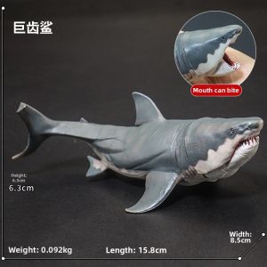 Realistic Megalodon & Great White Shark Model Toys