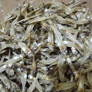 TERI TAWAR ASLI TAWAR 1KG