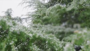 YouPin Official Store เครื่องทำความร้อนในพื้นที่ระบบสัมผัส1200วัตต์เครื่องทำความร้อนไฟฟ้าแบบพกพาเครื่องทำความร้อนในบ้านพร้อมรีโมทคอนโทรลและเวลา Heater electric