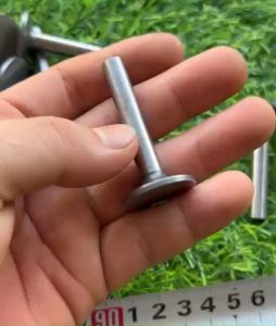 Đôi Nấm SuPap Nhỏ Đẩy Đúa 192F Máy Phát Điện Nấm Xu Páp Máy Cày 192F Giá 2 Cái (kho6201)