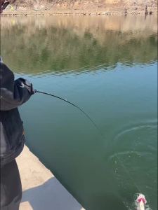 fishingfans | Cần Câu Cá Telescopic Carbon FISHINGFANS MUQINGCHUAN L ML 56" Siêu Nhẹ Cần Câu Du Lịch Dành Cho Cá Hồi Cá Rô Phi Trọng Lượng Mồi 2-10g Độ Nhạy 2-8lb