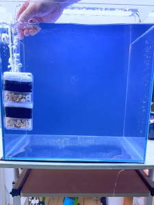 Lọc bio góc Xinyou Corner Sponge Filter lọc vi sinh mini bể cá tép rùa cảnh store3