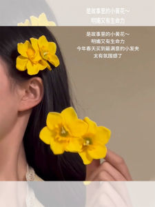 Kẹp Tóc Hoa Vàng Nhỏ Story 2025 Mẫu Mới Kẹp Tóc Bên Đầu Kẹp Tóc Hoa Phụ Kiện Tóc Cho Nữ Kẹp Tóc Phong Cách Hàn Quốc Mùa Xuân